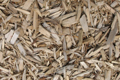 biomass boilers Fryton